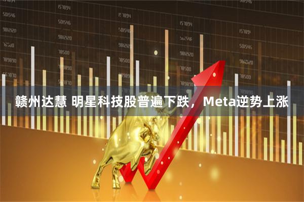 赣州达慧 明星科技股普遍下跌，Meta逆势上涨