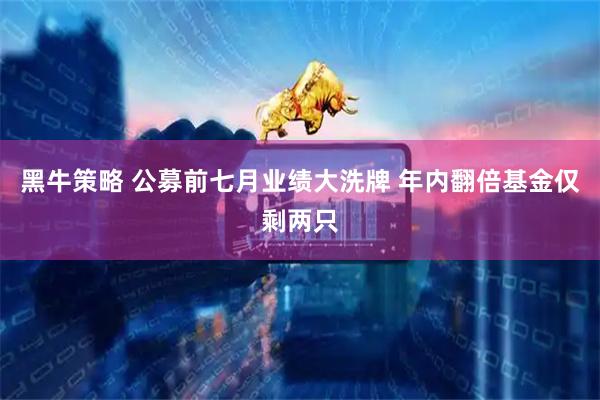 黑牛策略 公募前七月业绩大洗牌 年内翻倍基金仅剩两只