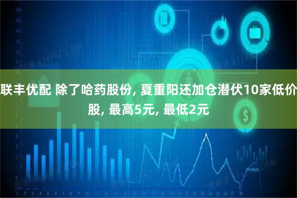 联丰优配 除了哈药股份, 夏重阳还加仓潜伏10家低价股, 最高5元, 最低2元